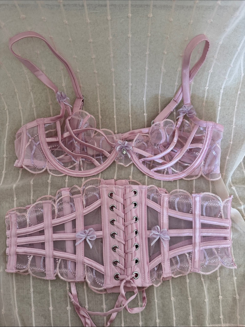 Sheer Lace Underwire Bra & Lace-Up Waist Cincher - Light Pink